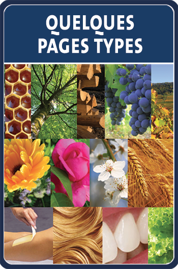 pages-types
