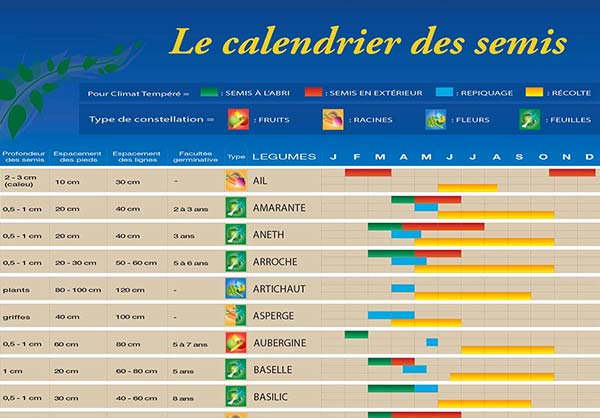 Calendrier des semis au potager - Gamm vert