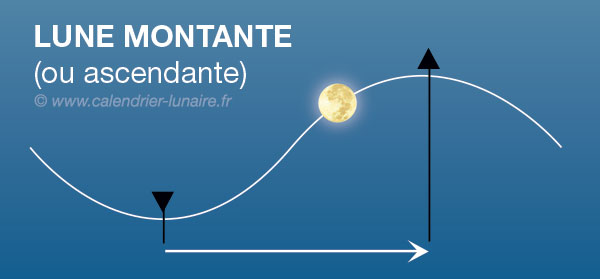 lune-montante