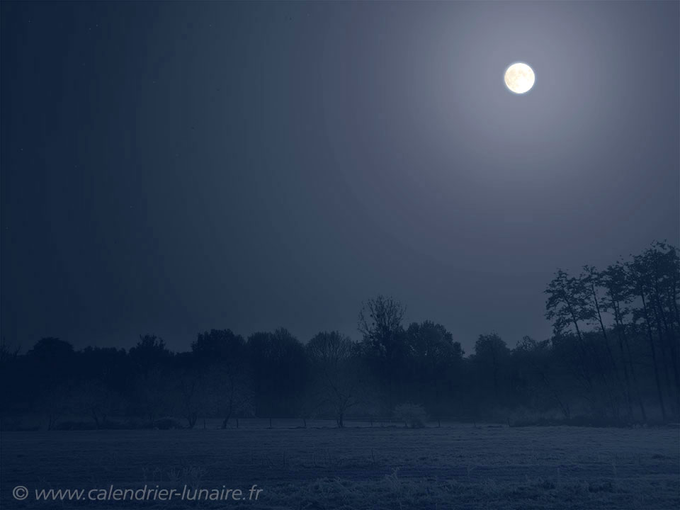 nuit-de-pleine-lune