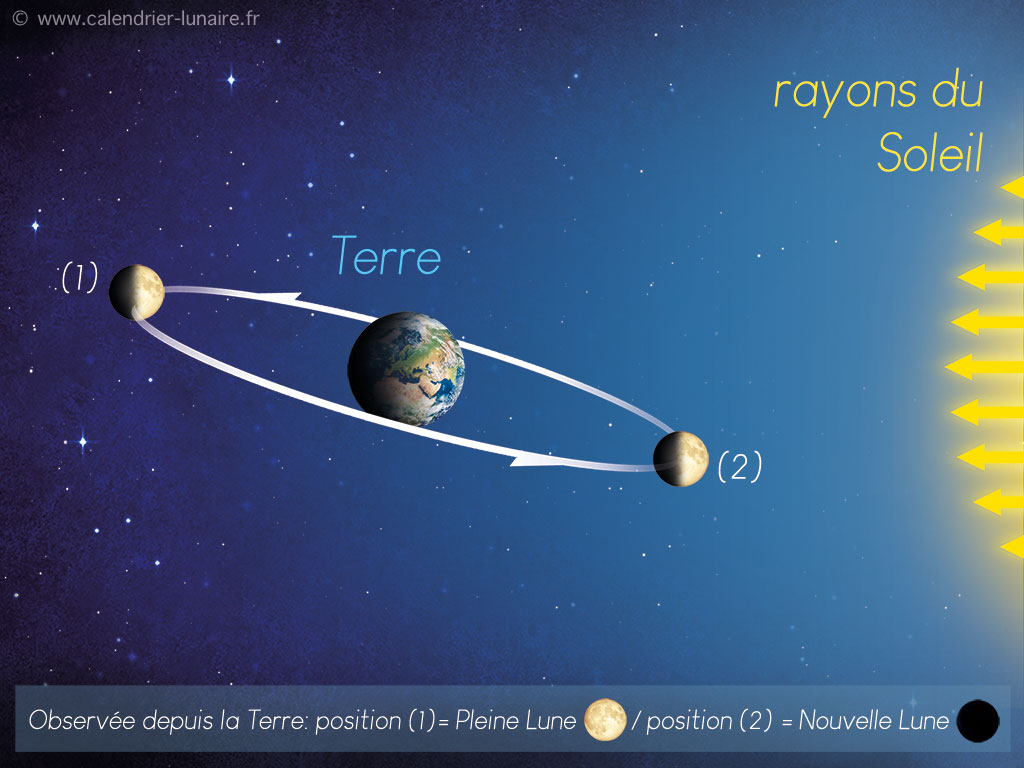 Calendrier lunaire 2024 : toutes les dates des Pleines Lunes et Nouvelles  Lunes - Elle