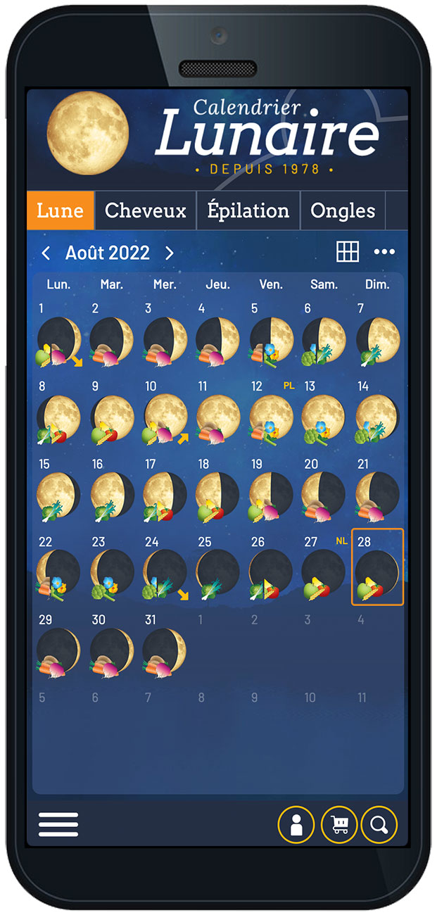 Ebook Calendrier lunaire 2024 pour la pousse des cheveux – Capibeauty