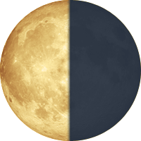 49,10 Lune